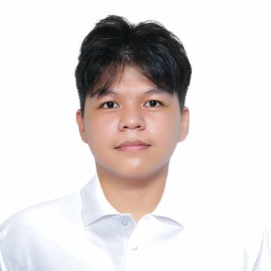 John Michael M. Reyes - Researcher